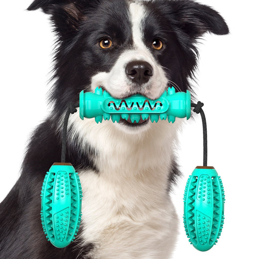 Juguete Masticable Dental para Perros - Limpieza de Dientes y Diversión - Image 12