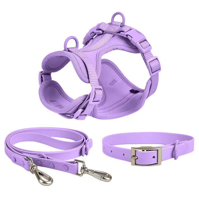 Juego de Correas Universales con Cuerda de Sujeción para Móvil y Accesorios - Image 13