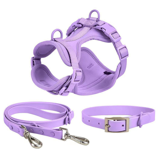 Juego de Correas Universales con Cuerda de Sujeción para Móvil y Accesorios - Image 13