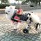 Silla de Ruedas para Perros - Completamente Ajustable