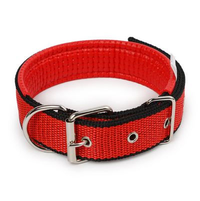 Collar para Mascotas con Forro de Cuero Suave y Espuma Protectora - Image 10