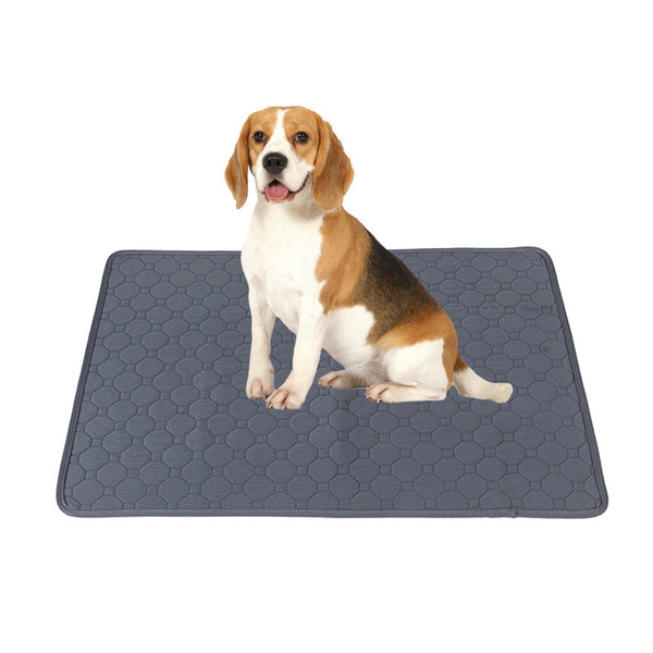 Pañales Lavables para Perros - Almohadillas Reutilizables Impermeables