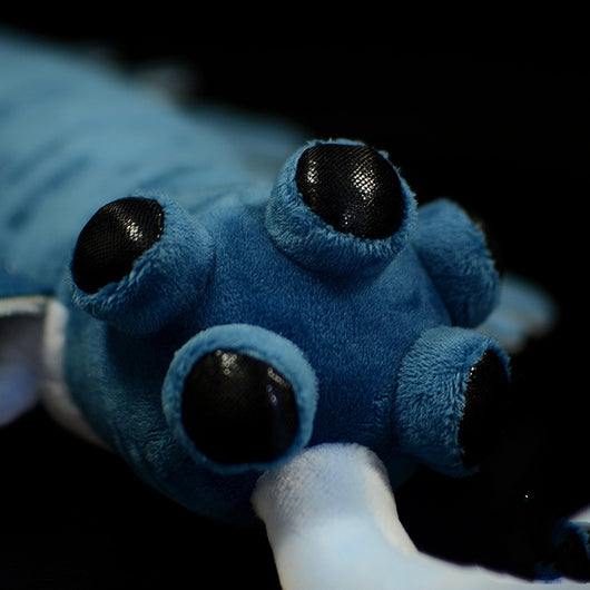 Peluche Realista de Animal Cámbrico - Image 6