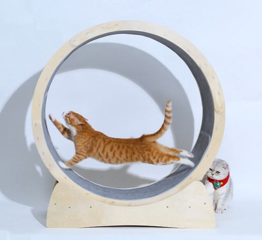 Rodillo Interactivo para Gatos - Juguete de Ejercicio