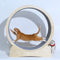 Rodillo Interactivo para Gatos - Juguete de Ejercicio