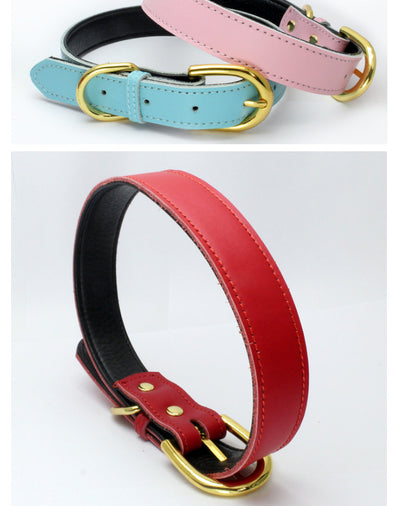 Collar para Mascotas de Cuero Genuino - Image 13