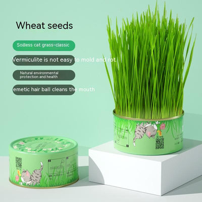 Mint green hydroponic cat grass cup with fresh rye and wheat grass, including 3 packs of each seed type. - Image 5