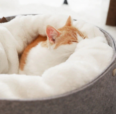 Cama Cómoda para Mascotas