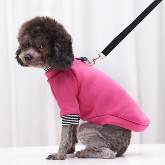 Suéter Reflectante para Paseos Nocturnos - Ropa para Perros y Gatos - Image 17