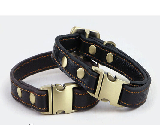 Collar de Cuero para Perros Pequeños y Medianos