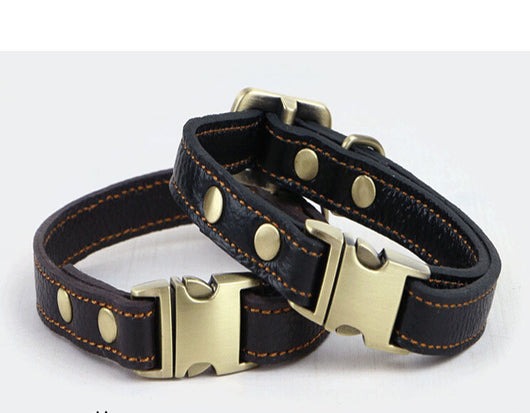 Collar de Cuero para Perros Pequeños y Medianos