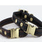 Collar de Cuero para Perros Pequeños y Medianos