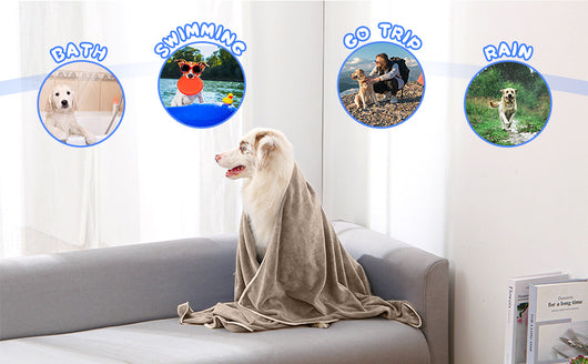 Toalla Absorbente de Microfibra para Mascotas - Secado Rápido - Image 7