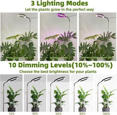 Lámpara de Pie LED de Espectro Completo para Crecimiento de Plantas - Image 6