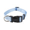 Light Blue Individual Pet Collar XS