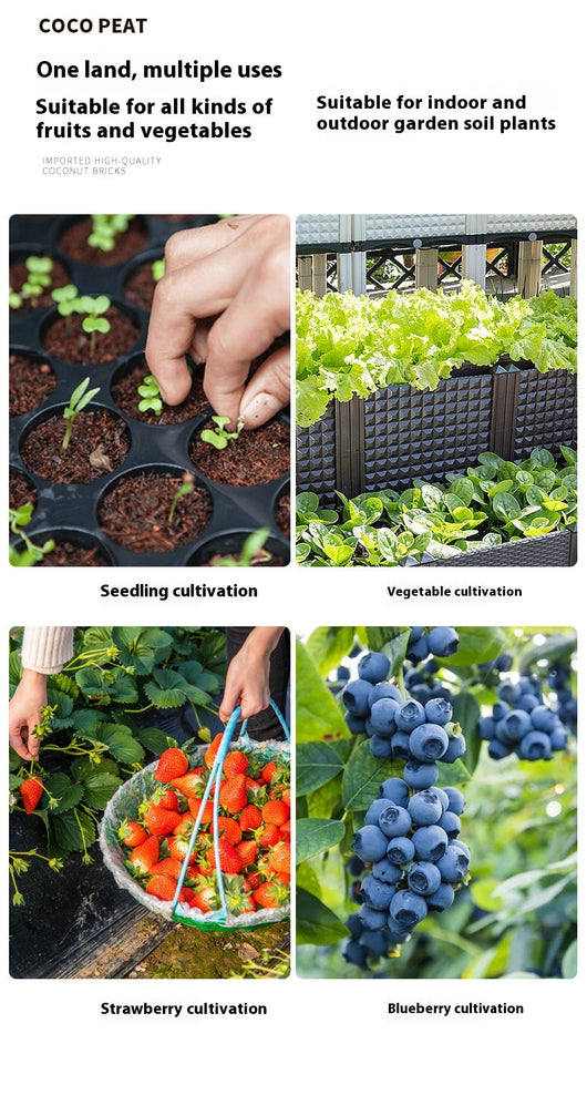 Sustrato de Coco para Plantas Suculentas - Cultivo sin Tierra - Image 12