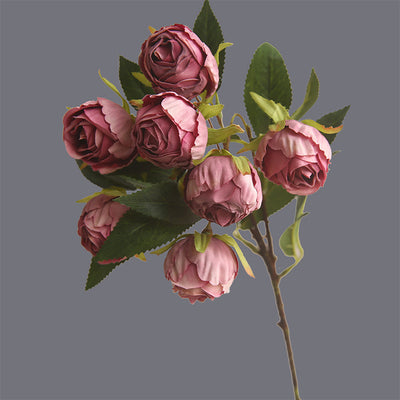 Rosa Clásica Francesa con Bordes Quemados - Flor Seca Artificial - Image 9