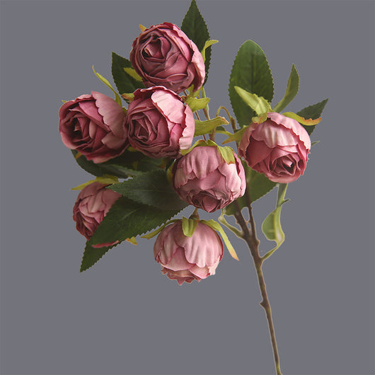 Rosa Clásica Francesa con Bordes Quemados - Flor Seca Artificial - Image 9