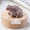 Specimen Popular Science Ornament Children's Gifts Indian Rojo Dot