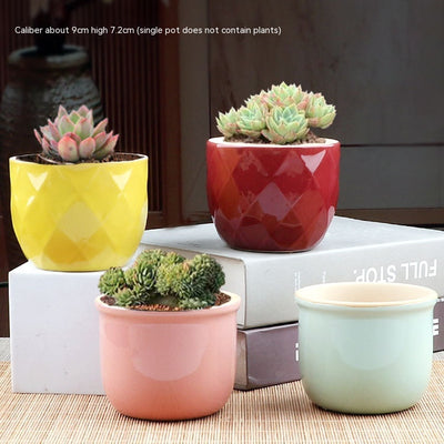 Maceta de Bonsái Suculenta en Cerámica Púrpura - Diseño Minimalista - Image 17