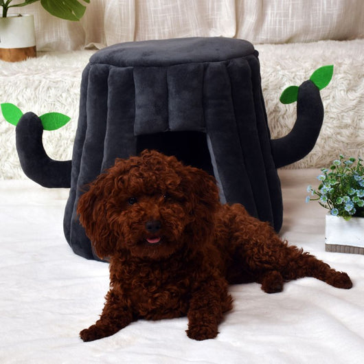 Cama Nido Acolchada para Gatos - Casa Confortable con Diseño Acogedor - Image 5