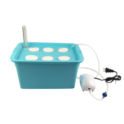 Kit de Cultivo Hidropónico para Balcón - Experimento Soilless - Image 15