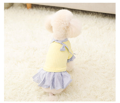 Ropa Delgada para Perros Pequeños - Abrigo Trendy Otoño Invierno - Image 4