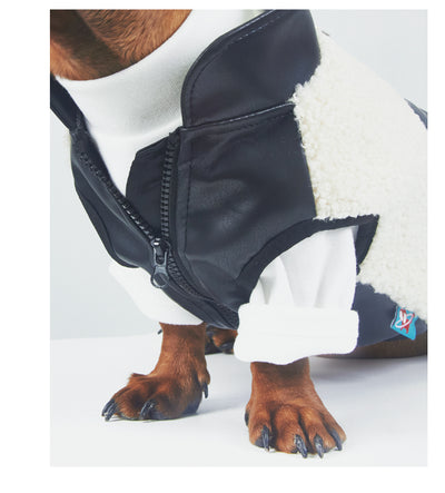 Abrigo Térmico de Cuero para Mascotas - Otoño e Invierno - Image 11