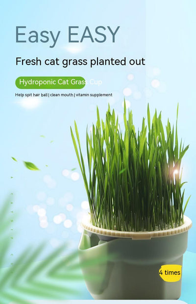 Mint green hydroponic cat grass cup with fresh rye and wheat grass, including 3 packs of each seed type. - Image 14