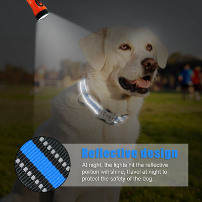 Collar Reflectante Personalizado para Perro con Nombre Grabado - Image 9