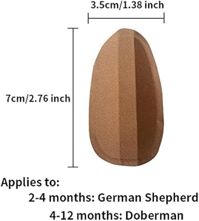 Corrector de Orejas para Perros - Soporte Adhesivo para Orejas Erguidas - Image 16