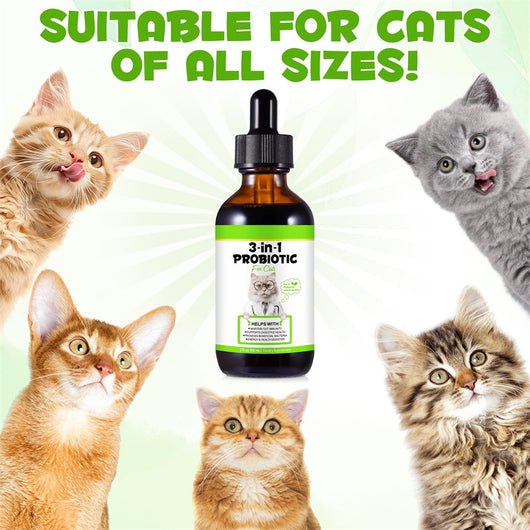 Probióticos 3 en 1 para Gatos con Prebióticos y Enzimas Digestivas