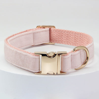 Collar Antipérdida para Perros Grandes con Grabado Personalizado - Image 3