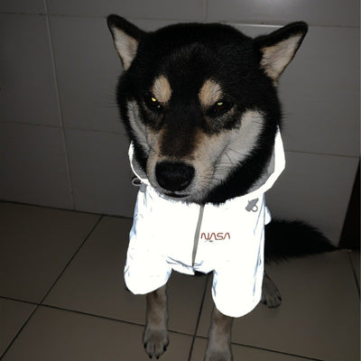 Impermeable Reflectante para Mascotas con Tecnología Espacial Antiwind - Image 4