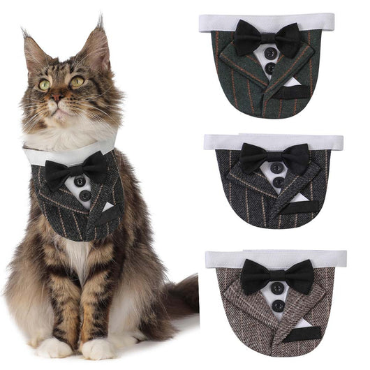 Traje de Mascota Elegante para Bodas con Diseño Triangular