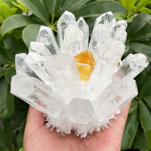 Racimos de Cristal Blanco Natural - Especímenes de Minerales Auténticos - Image 6