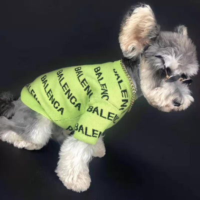 Suéter Primavera para Schnauzer - Pullover Cómodo para Perros