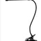 Black Three Color Warm White Light