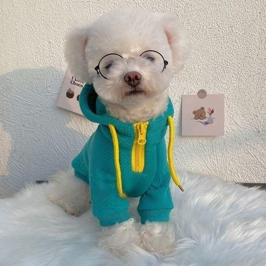Suéter Elegante para Mascotas - Diseño Celebridad Internet - Image 7