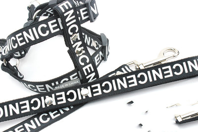 Collar y Correa para Perro Premium - Image 3