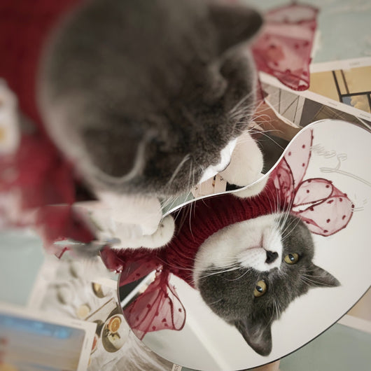 Suéter Navideño para Gatos - Abrigo Cálido Británico Shorthair Otoño Invierno - Image 11