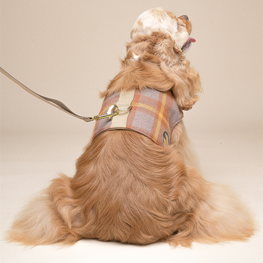 Arnés Chaleco para Perros Pequeños con Correa Integrada - Image 4