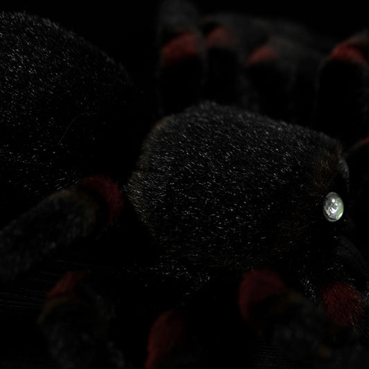 Muñeco Araña Realista - Juguete Educativo de Simulación Animal - Image 2