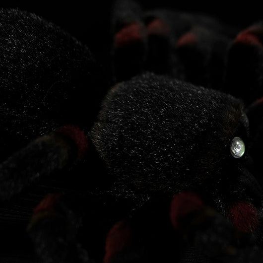 Muñeco Araña Realista - Juguete Educativo de Simulación Animal - Image 2