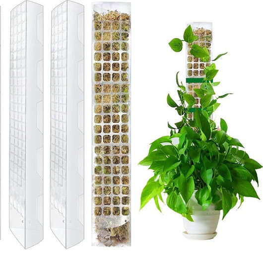 Soporte de Musgo Plástico para Plantas Trepadoras y Enredaderas - Image 9