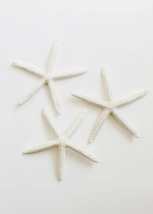 Starfish