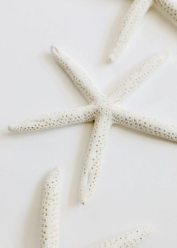 Starfish