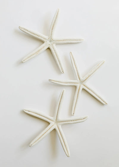 Starfish