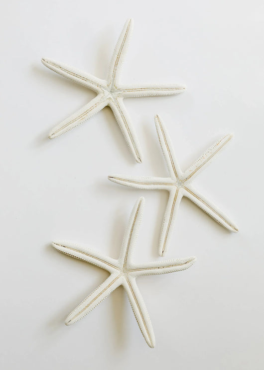 Starfish