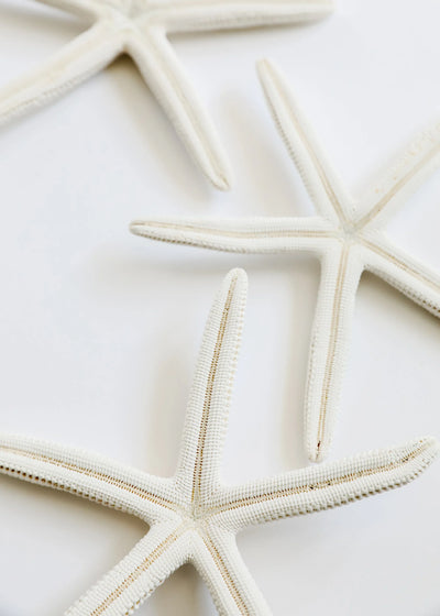 Starfish